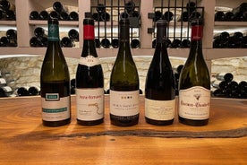 Degustación privada de los 5 pueblos de la Côte de Nuits