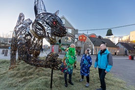 Tour privato a piedi di Natale di Reykjavik