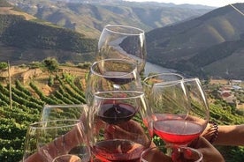 Exclusive Douro Valley Wine and Scenic Tour: Wine Tasting, Lunch, and River Cruise