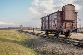 From Krakow: Auschwitz-Birkenau Full-Day Guided Tour