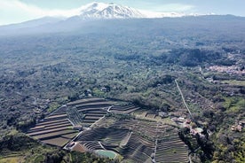 Amazing private Etna panoramic tour + Wine tasting and food combination