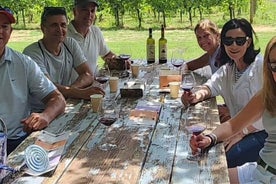 Visite du marché de Lucques et apéritif italien authentique chez un habitant local