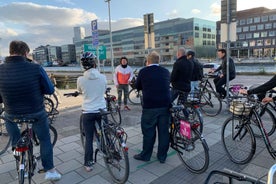 Malmö: Sightseeing and Landmarks tour by bike