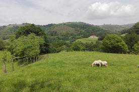 BASQUE CHEESE and TXAKOLI WINE - Private Gastronomic Adventure