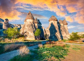 Hot air balloons flying over Uchisar Castle. Cappadocia. Nevsehir Province. Turkey.