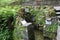 Tobernalt Holy Well, Aghamore Near, Calry ED, Sligo Municipal Borough District, County Sligo, Connacht, Ireland