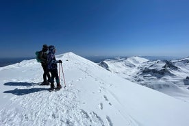 Borovets 的精华：Rila & SPA 的神奇雪鞋行走冒险