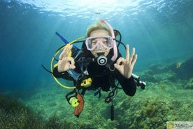 Plongée sous-marine pour débutants avec déjeuner