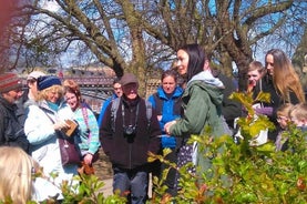 Wild Food Foraging Walks in York