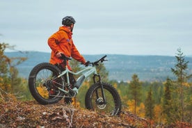 3 tíma að kanna náttúruna með eFatbike í Rovaniemi