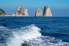 Heldags privat Capri och Positano båttur från Sorrento