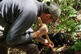 Searcing for truffles: black or Scorzone