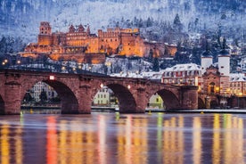 Heidelberg: Skoðunarferð með bát og glögg