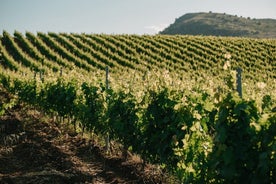 Weinprobe für kleine Gruppen in der Landschaft von Palermo