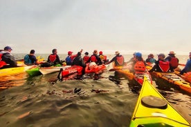 Kayak excursion to Cova dels Coloms from Platja Mascarat