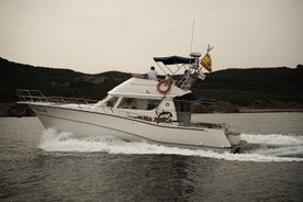 Privat tur med delfinsafari i Algeciras Bay