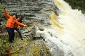 Private tour to Sognefjord and Flåm from Bergen, 24 hr refundable