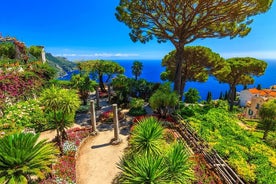 Expérience privée d'une journée complète sur la visite des vins de la côte amalfitaine au départ de Positano