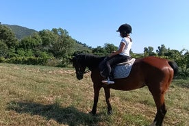 子供のための乗馬