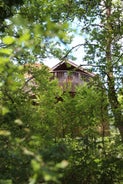 Cabane Rouge-Gorge