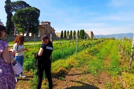 Weinbaugebiet Brescia und Franciacorta. Kultur- und Weinverkostung in kleiner Gruppe