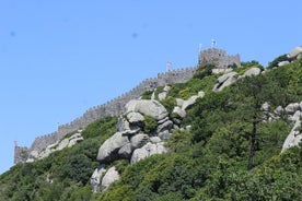 Privat halvdagstur till Sintra och Pena Palace från Lissabon