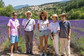 Gita di un giorno per piccoli gruppi in Provenza e al museo Della Lavanda con partenza da Avignone