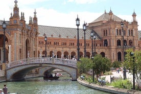 Private one way transfer from Madrid to Seville with private pick up & drop off