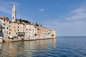 Escursione a terra di un'intera giornata in Istria da Opatija o Rijeka