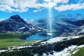 Einkaferð frá Oviedo til vötna, Covadonga og fleira