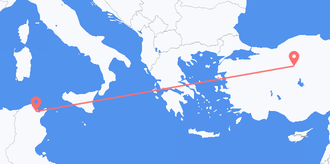 Flights from Tunisia to Turkey