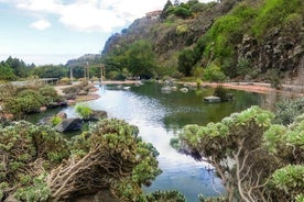 Las Palmas Bandama-krater og omvisning i den botaniske hagen