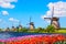 photo of colorful spring landscape of Nederwaard Molen No5 in Kinderdijk, Netherlands.