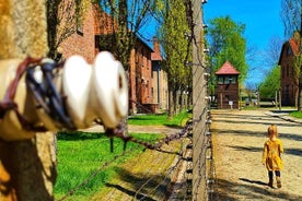 Tour di Auschwitz-Birkenau con trasporto privato