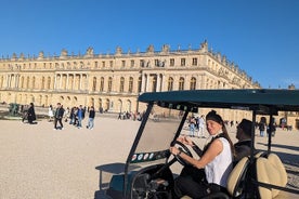 From Paris: Versailles Palace & Gardens w/ Transfers Private Tour