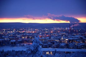 Rovaniemi privé transfer van het centrum van Rovaniemi naar de luchthaven van Rovaniemi