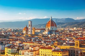 A Full Day Multiple Guided Tours in Florence