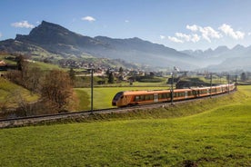 Voralpen-Express: Scenic ride between Arth-Goldau & Lucerne