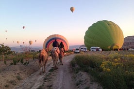 Kappadokien Kamelsafari bei Sonnenaufgang