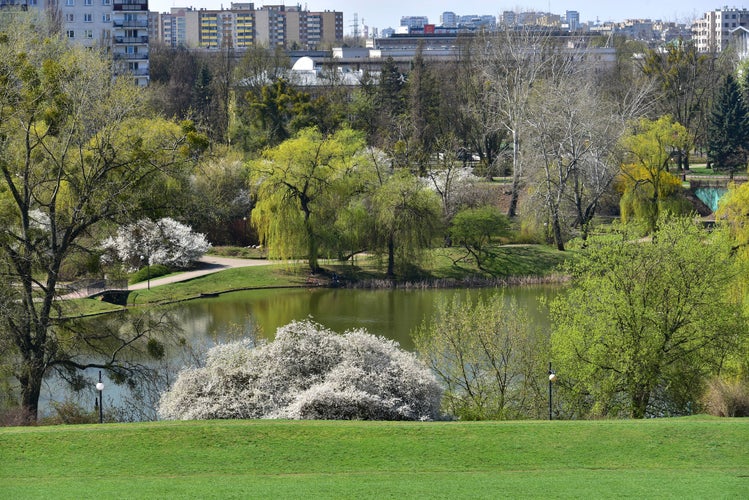 Moczydełko Park (2).jpg