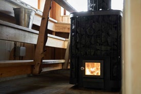 Kuusisto Island: Sauna, ice-swimming and dinner