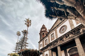 Full Day Guided Tour in the Anaga Rural Park and La Laguna from the South