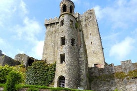 Cork og Blarney Castle Rail Tour frá Dublin