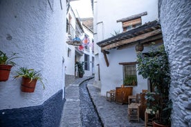 그라나다에서 선택적인 점심 식사가 포함된 Las Alpujarras 종일 투어