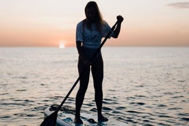 Curso guiado de paddle surf