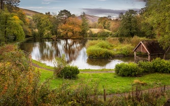 Craig-y-nos Country Park