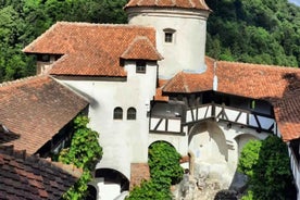 Sibiu: Dracula's Castle and Dino Park Day Trip