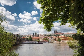 Tour in barca per il Castello di Praga e il Canal River