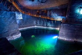 Wieliczka Salt Mine Spring kø-billetten over