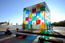 Keine-Warteschlange-Zugang zum Centre Pompidou in Malaga